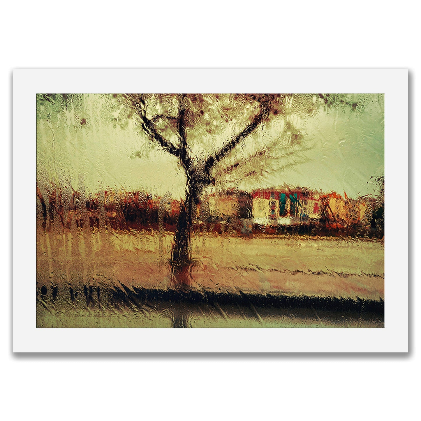 Beauty In The Rain