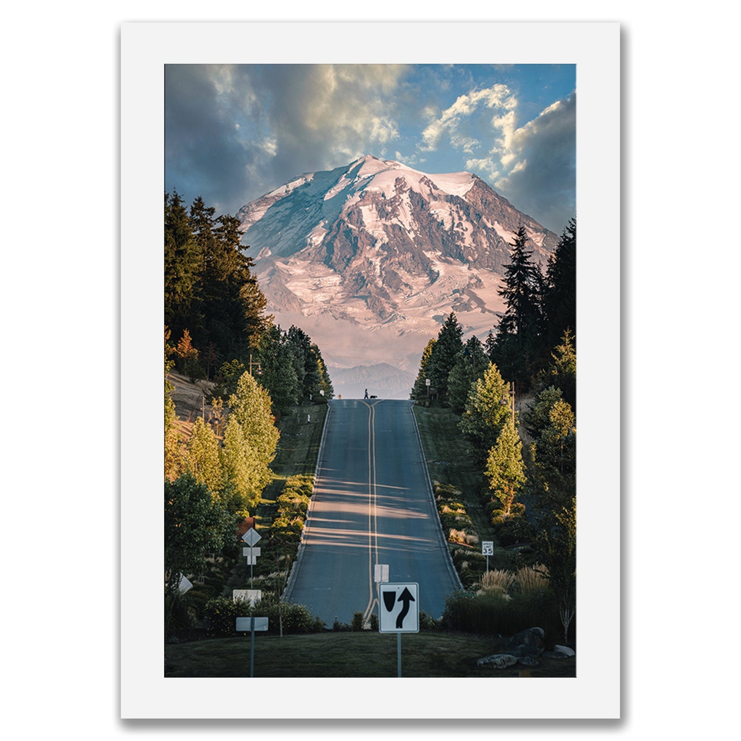 Mt. Rainier